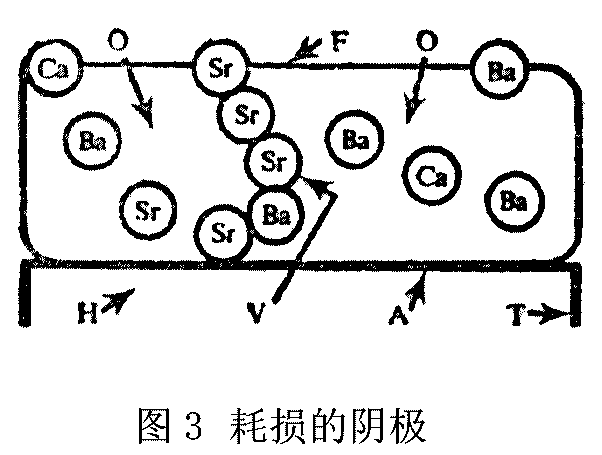 p3.GIF (8294 字节)